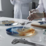 découvrez le fonctionnement de la table de diffusion et ses diverses applications pratiques dans différents domaines. guide complet pour mieux comprendre cet outil essentiel.